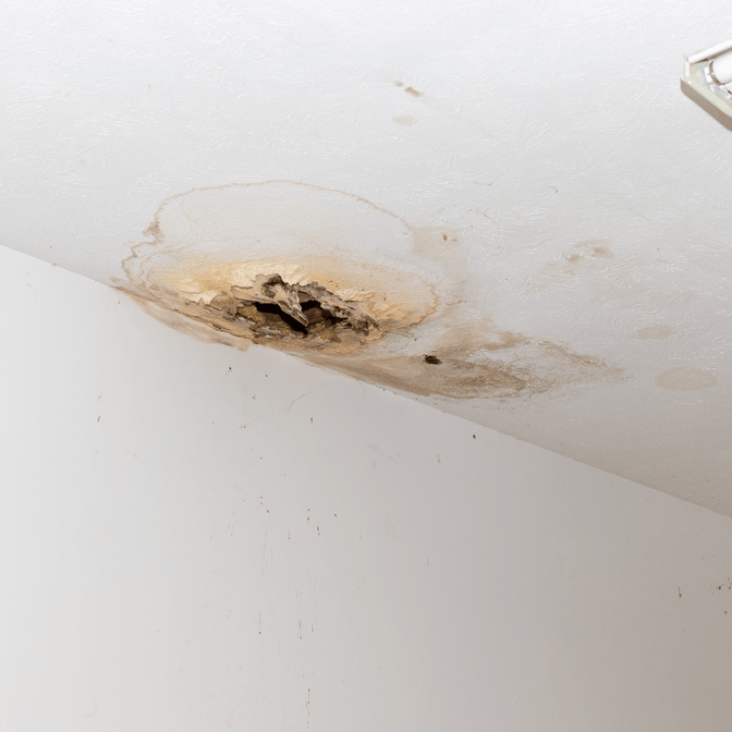 Water damage from a roof leak to a Bay of Plenty home