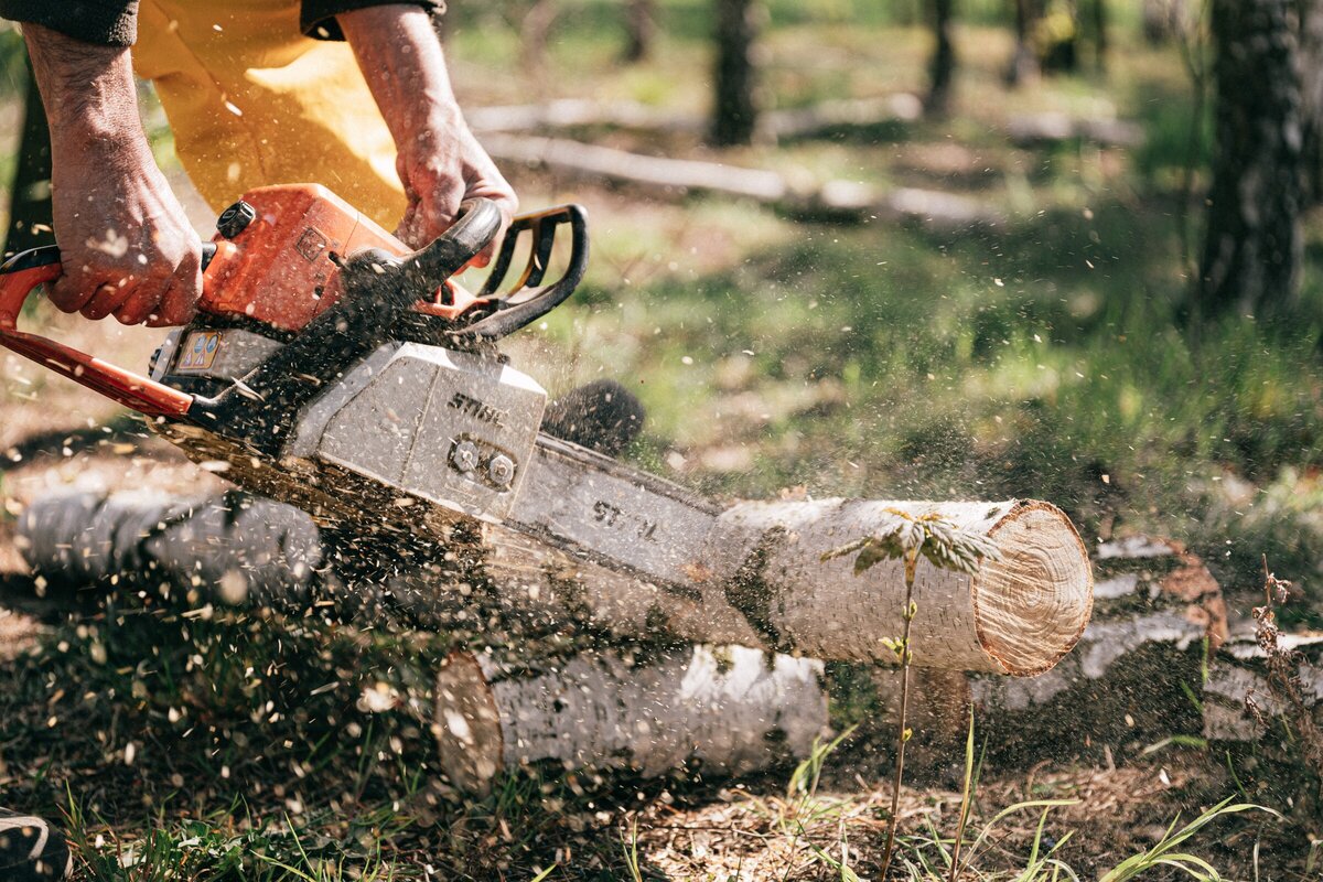 ACC Chainsaw Related Injuries 2022 Ag Drive