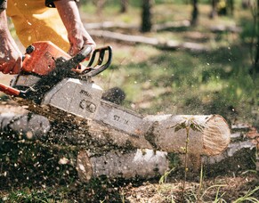 ACC Chainsaw Related Injuries 2022