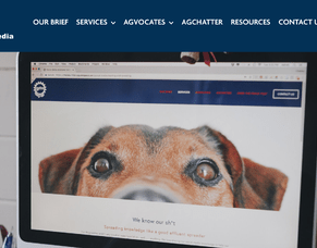 Rural Social Media: Website Content