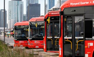 Electric Bus NZ - Auckland CityLINK buses
