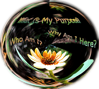 Learn the Cosmic Radiance technique