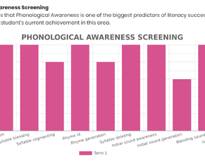 The alternative to a ‘redressesed’ status quo…. ‘Pedagogy over Programmes’