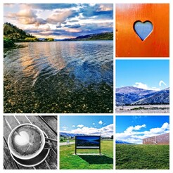 Cromwell, Capital of Central Otago