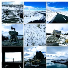 Lakee Takapo, New Zealand