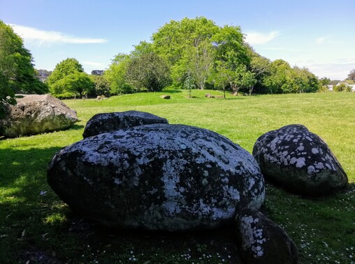 Home of Football | Newmarket Park, Auckland