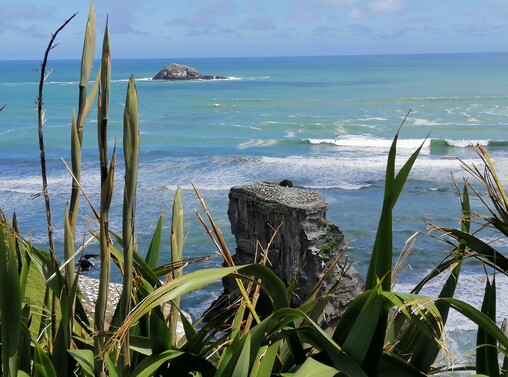 Muriwai Beach | Gannet Colony | West Coast, AUCKLAND
