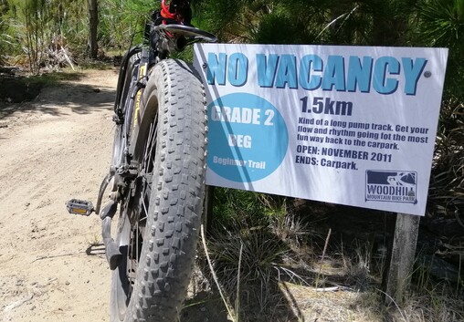 Woodhill Forest Adventure Trail | West Auckland