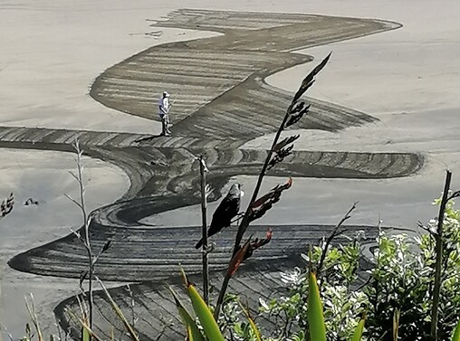 'Bansky' Beach Artist | West Coast Beach, Auckland
