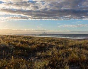 A vision for future community healthcare in the Ōpōtiki District