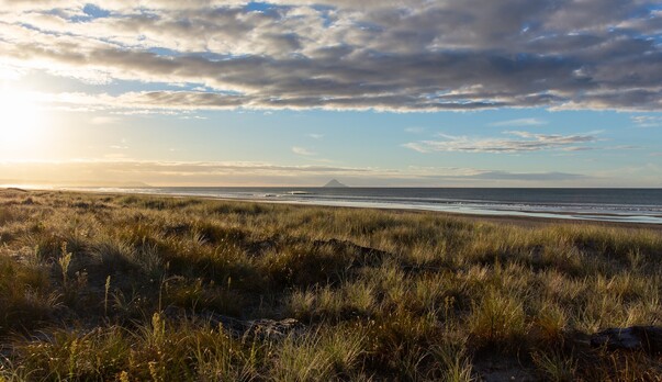 A vision for future community healthcare in the Ōpōtiki District