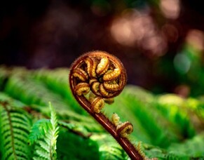 How lawyers and their clients can help the charitable sector - Article in LawNews