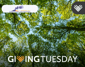 Giving Tuesday - Beyond the spend fest