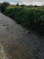 Urban Stormwater Monitoring in the Wairarapa - First Flush Sampling