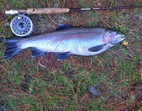 Welcome to our new site!