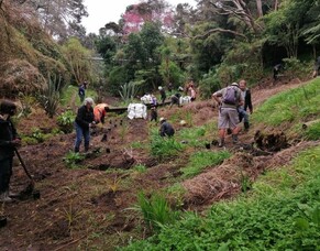 Community Planting Morning, Beachaven