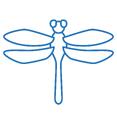 Aquatic Invertebrate Surveys