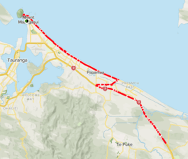 New Tauranga Half Course