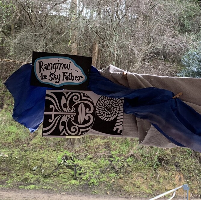 Bicultural curriculum