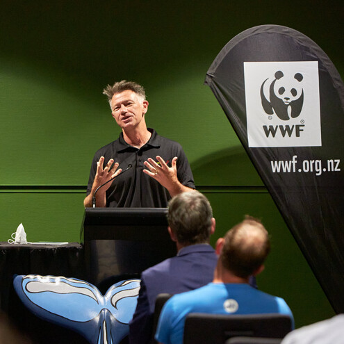 Best leadership programmes in New Zealand for merging leaders, developing leaders and senior leaders