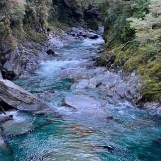 Physio wanting work in NZ