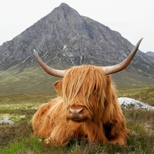 OT wanting work in UK