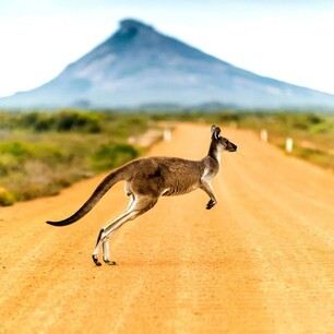 Physio wanting work in Australia