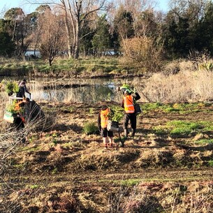Regeneration work