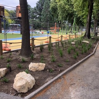 Landscaped path in a park