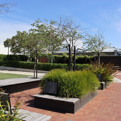Planter Boxes