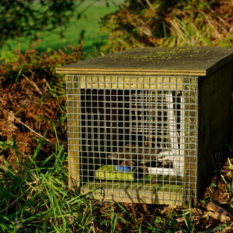 Possum trap