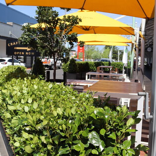 Street Planting