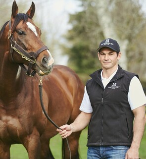 Simms Davison - Director (Studmasters' Branch Rep)