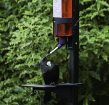 Bird feeders