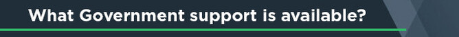 What government support is available?