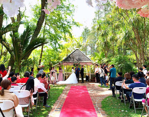 Auckland&rsquo;s Most Instagram-Worthy Wedding Moments: Ideas for Stunning Photos