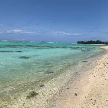 Safe swimming and access to kayaks for our guests