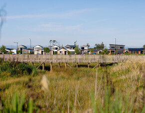 Welcome to Greenhill Park - January Newsletter