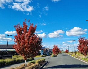 Greenhill Open Day - April Newsletter