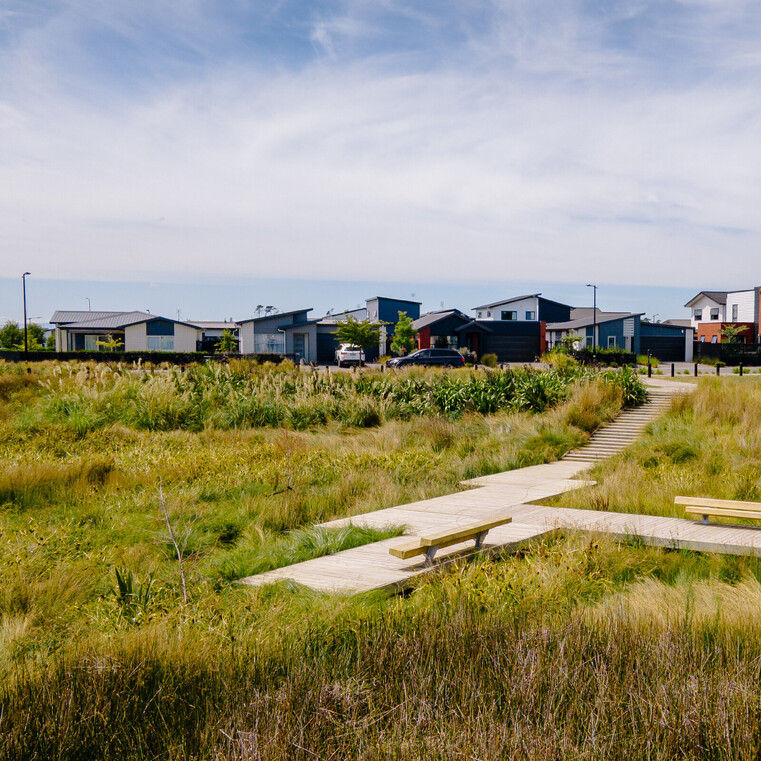 Standing in the park looking at a line of houses on a street