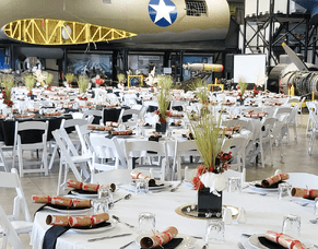 Our Favourite Tauranga Venues!