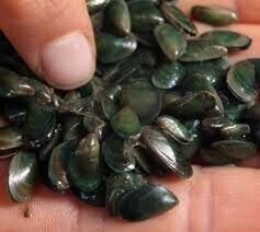 Click here for article