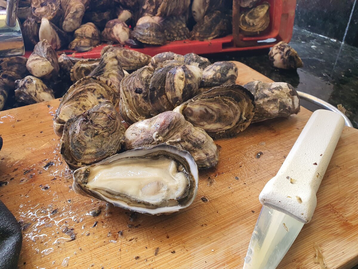 NZ-farmed shellfish match tofu’s low carbon footprint | Marine Farming ...