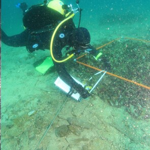 Mussel Bed Restoration
