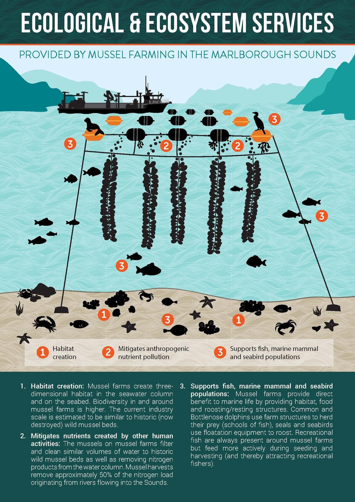 Project Work | Marine Farming Association Incorporated