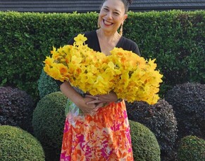 Highfield Highlights October 2025