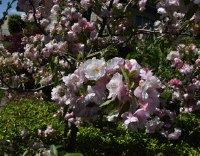 Highfield Highlights March 2025