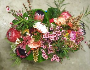 Highfield Highlights August 2025