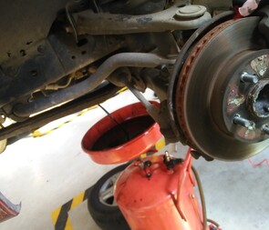 Cafe / Restaurant  - “I met with Strategize Business Strategist not knowing a lot about their processes. In the first months the weekly sessions with my team improved productivity and my team are focused in growing sales”.