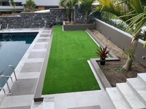 Grass Pro Auckland - premium 40 lawn